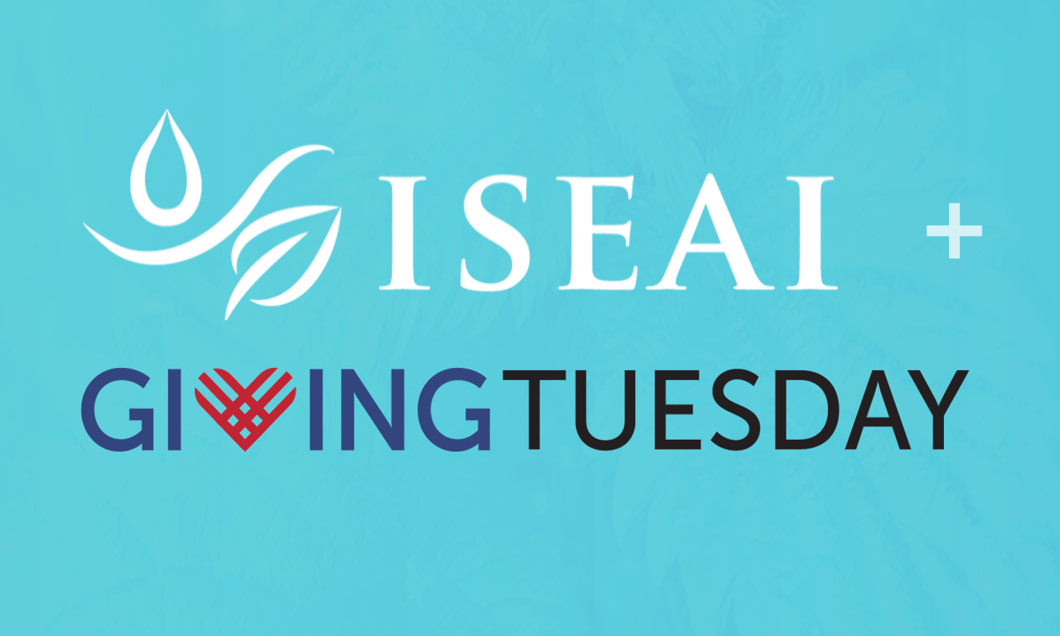 幸运飞行艇168体彩开奖网 ISEAI Giving Tuesday